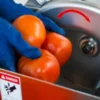 Cubicadora 500 kg 3HP - Imagen 5