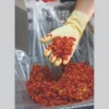 Hammer Mill 2000 - Image 4