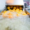 Immersion washer 2000 - Image 5